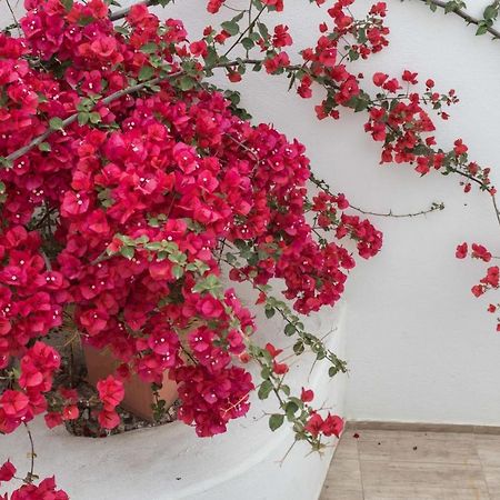 Depis Apartments & Suites Naxos City Εξωτερικό φωτογραφία